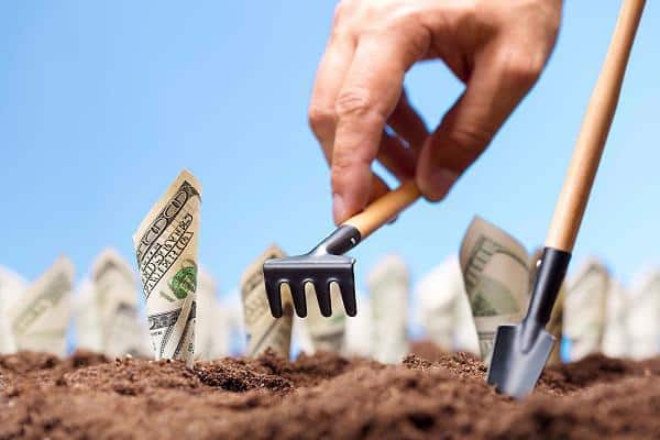 Amrovet%20Afghanistan%20امرویت%20افغانستان