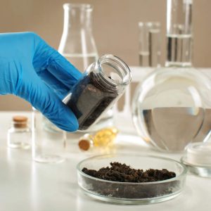 soillab (1)