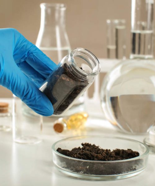 soillab (1)