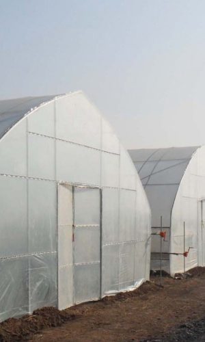 tunnel-greenhouse-